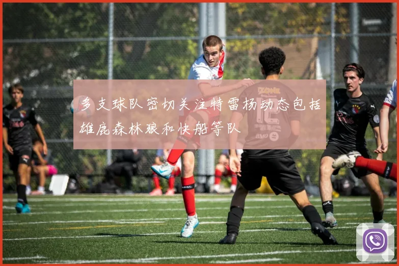多支球队密切关注特雷杨动态包括雄鹿森林狼和快船等队
