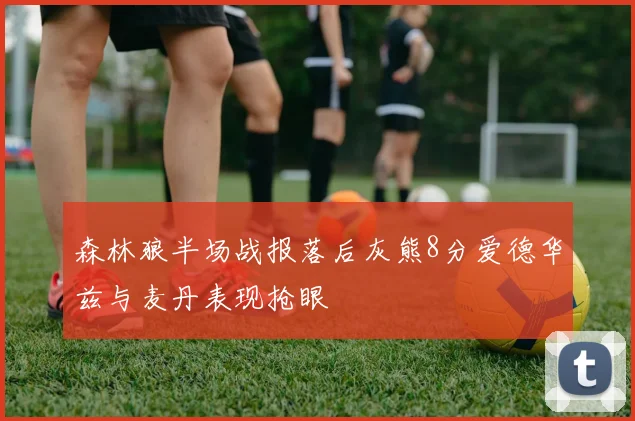 森林狼半场战报落后灰熊8分爱德华兹与麦丹表现抢眼
